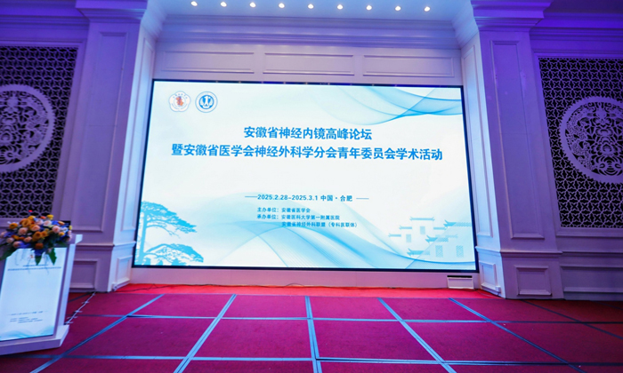 聚焦前沿，共话未来：莱沃医疗助力安徽省神经内镜高峰论坛