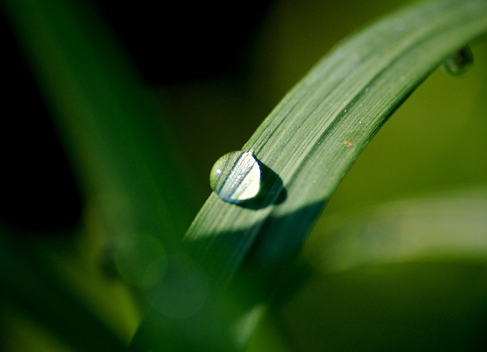 【莱沃医疗：知识分享】白露时节，秋意渐浓，千万要牢记这几点！